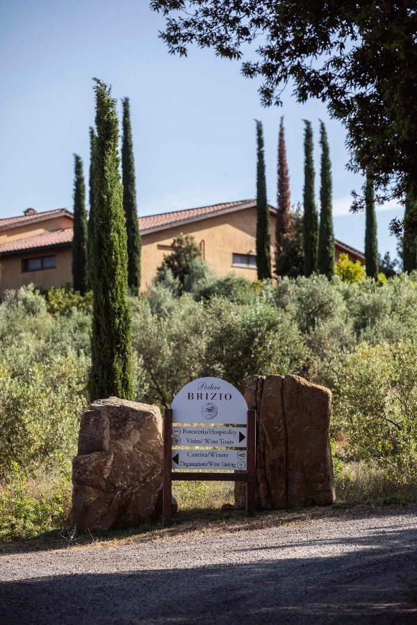 مونتالشينو Podere Brizio المظهر الخارجي الصورة