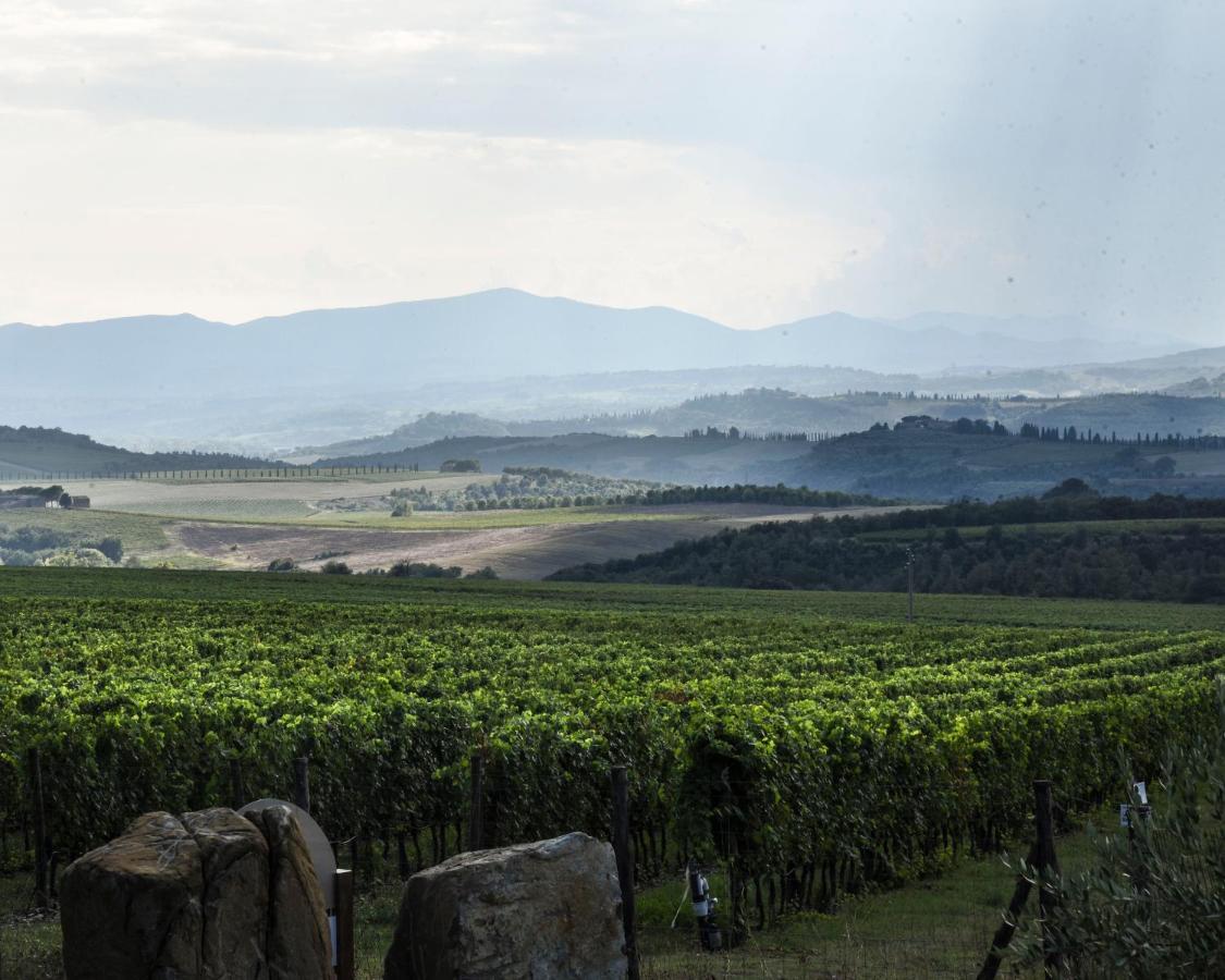 مونتالشينو Podere Brizio المظهر الخارجي الصورة